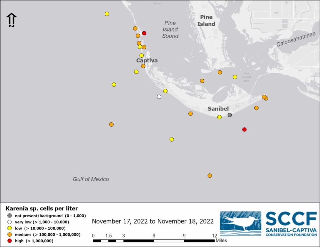 SCCF, partners sample local waters for red tide News, Sports, Jobs SANIBELCAPTIVA Island